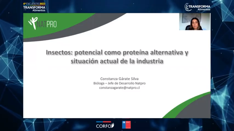 Transforma_Alim's tweet photo. No te pierdas ahora! Charla sobre "Insectos: potencial como proteína alternativa y situación actual de la industria" con #NATPRO y Constanza Gárate #4TOENCUENTROTA https://t.co/pEkcMHg8HB https://t.co/VTPLv3bQAJ