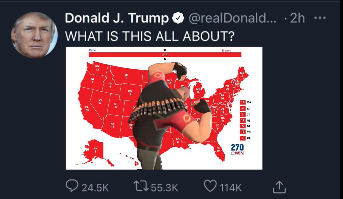 DragonmasterDX's tweet image. @realDonaldTrump 
 #teamheavy voter fraud #Election2020