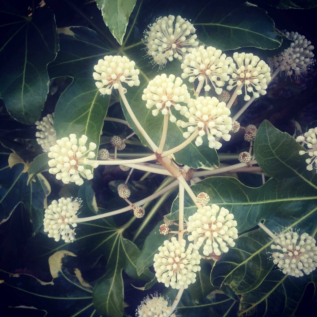 timofnewbury's tweet photo. Nature #xpro2filter https://t.co/Gz7o1t9EIh https://t.co/WOk1vBBdj3