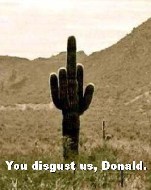 time4kind's tweet photo. @SteveSchmidtSES @IngrahamAngle @ProjectLincoln #BlueRoks https://t.co/0nlenMPCo7