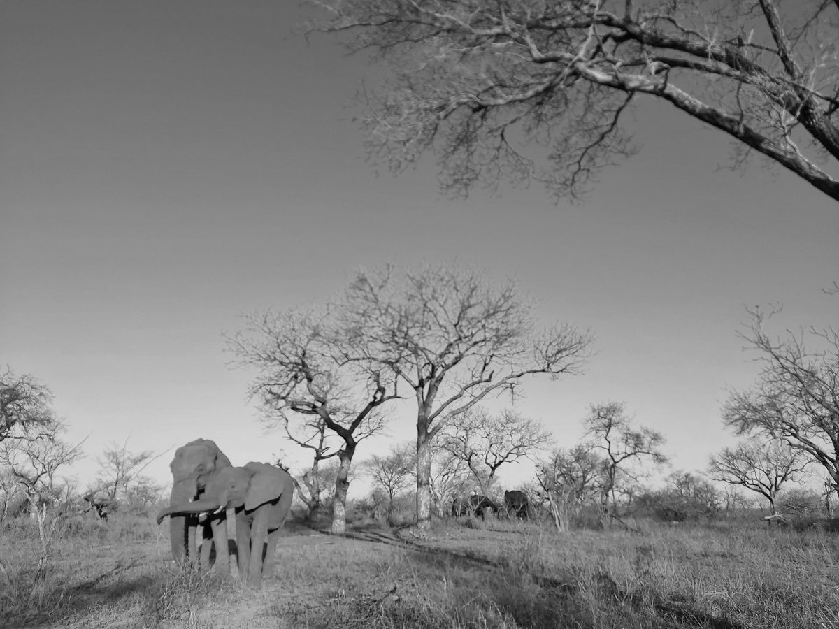 AshwellGlasson tweet media