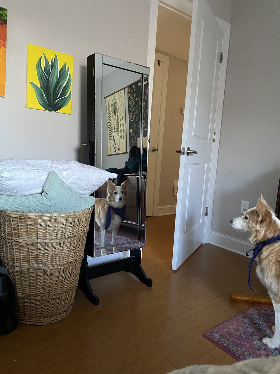 I just can’t overstate how many of these pics I have.