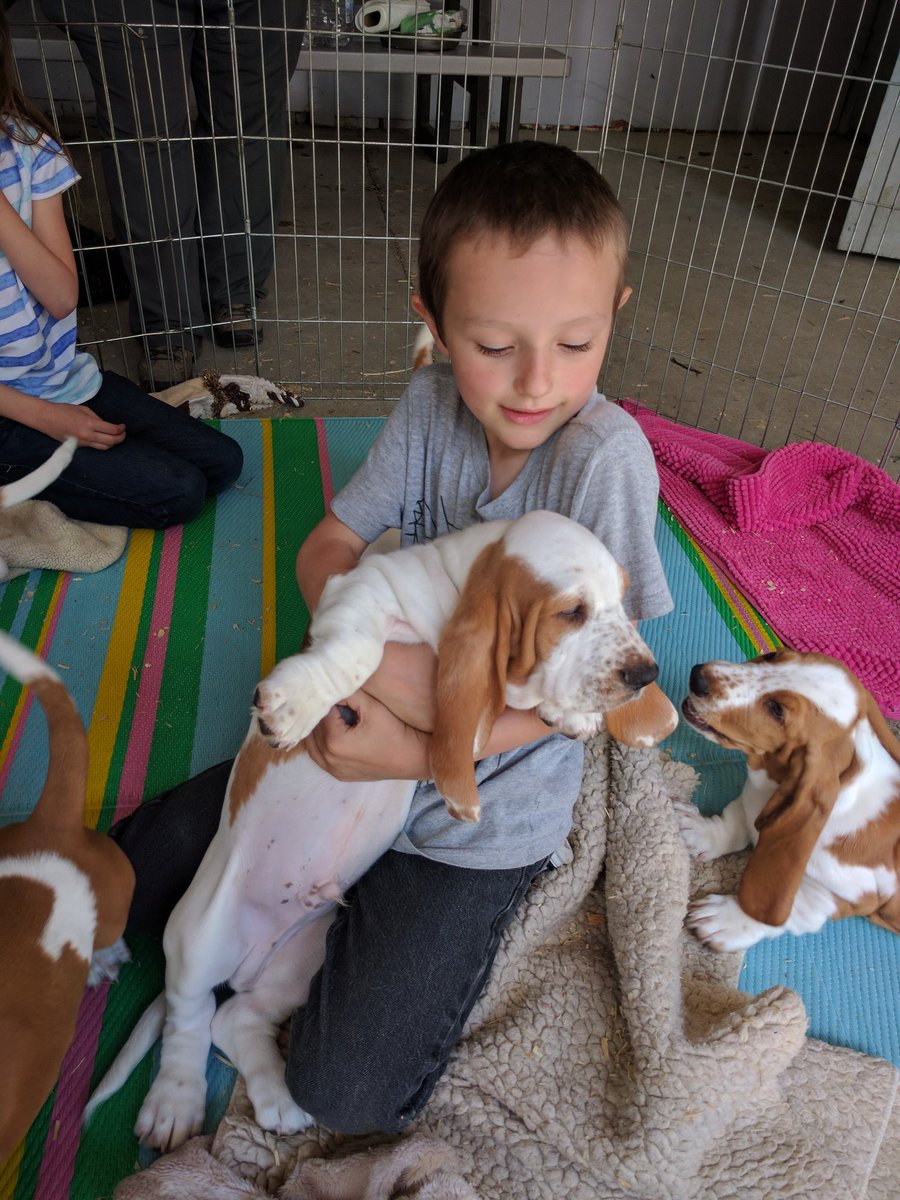 I heard that puppies help. what about a puppy BELLY. A BASSET PUPPY BELLY.