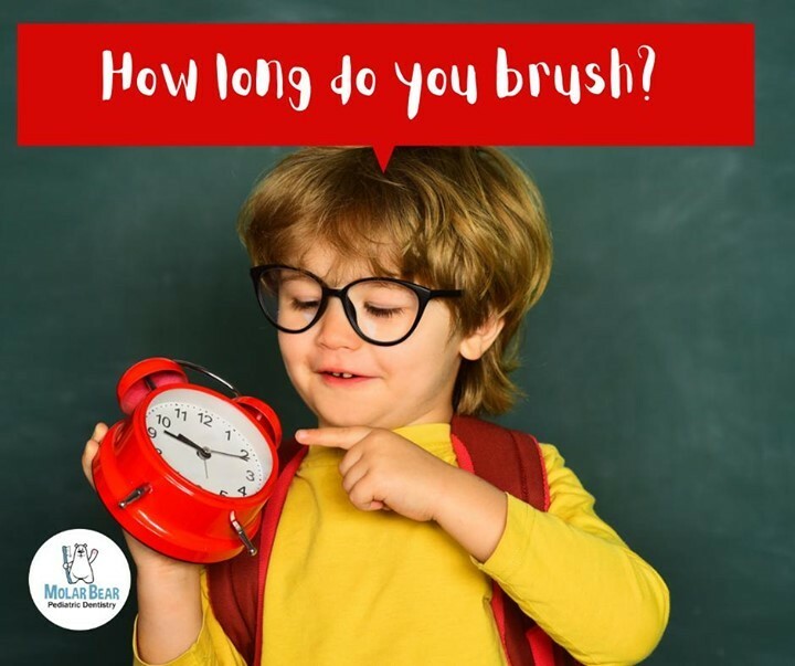The average person only spends 45-70 seconds per day brushing their teeth! That’s well below the recommended 2 minutes.  Be sure your family is brushing for at least 2 minutes, 2 times every day.
