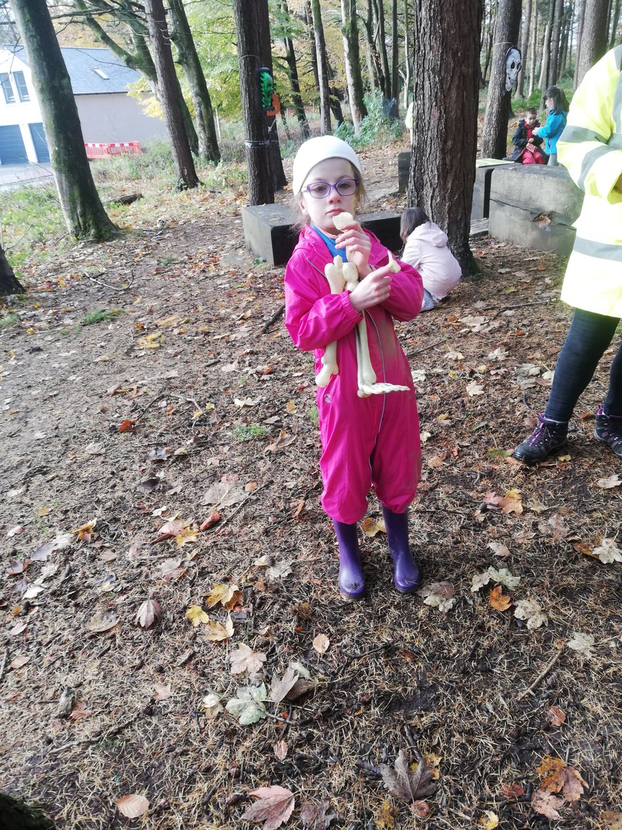 EPClass1's tweet photo. Woods fun. https://t.co/kECWUIRx9q