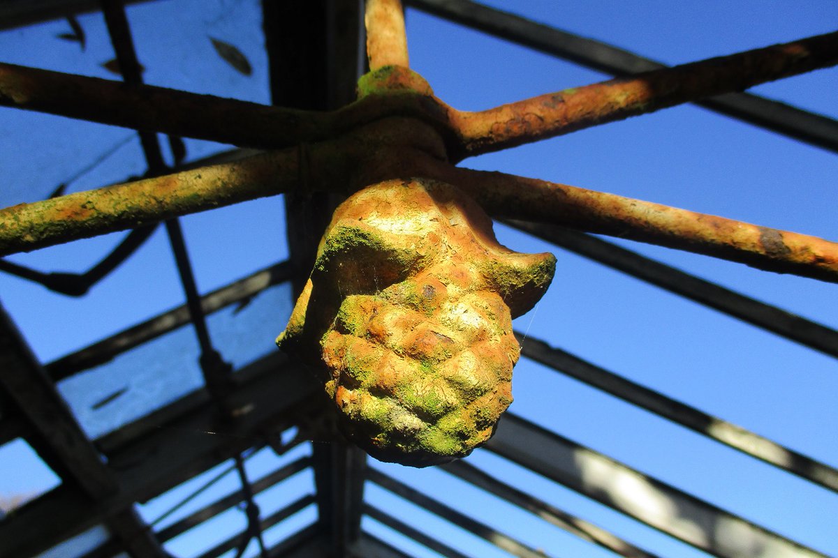 GillHeavens's tweet photo. @dartmoorcollect Sorry it is last minute, but I don't remember seeing any light, stubborn or otherwise, for a while.  Here is one, inside a decrepit greenhouse. #stubbornlightcomp https://t.co/EfowmtOgw9