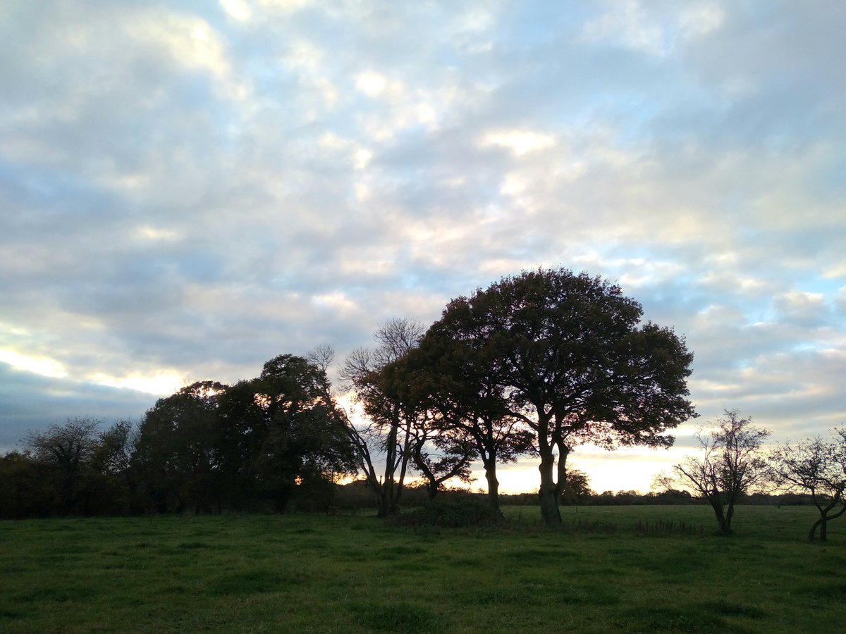 Late afternoon skies at Horton.  #Wiltshire  #LockdownDay