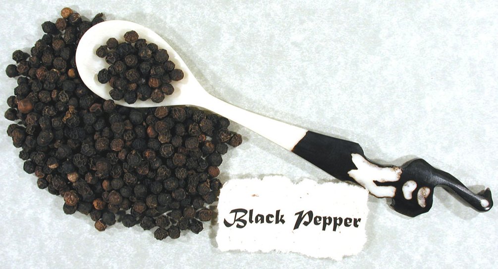 librarycongress's tweet photo. Everyday Mystery: Have you ever tried to smell pepper without sneezing? Here's why you can't: https://t.co/kIJfv11PjA https://t.co/477f8t05Lv