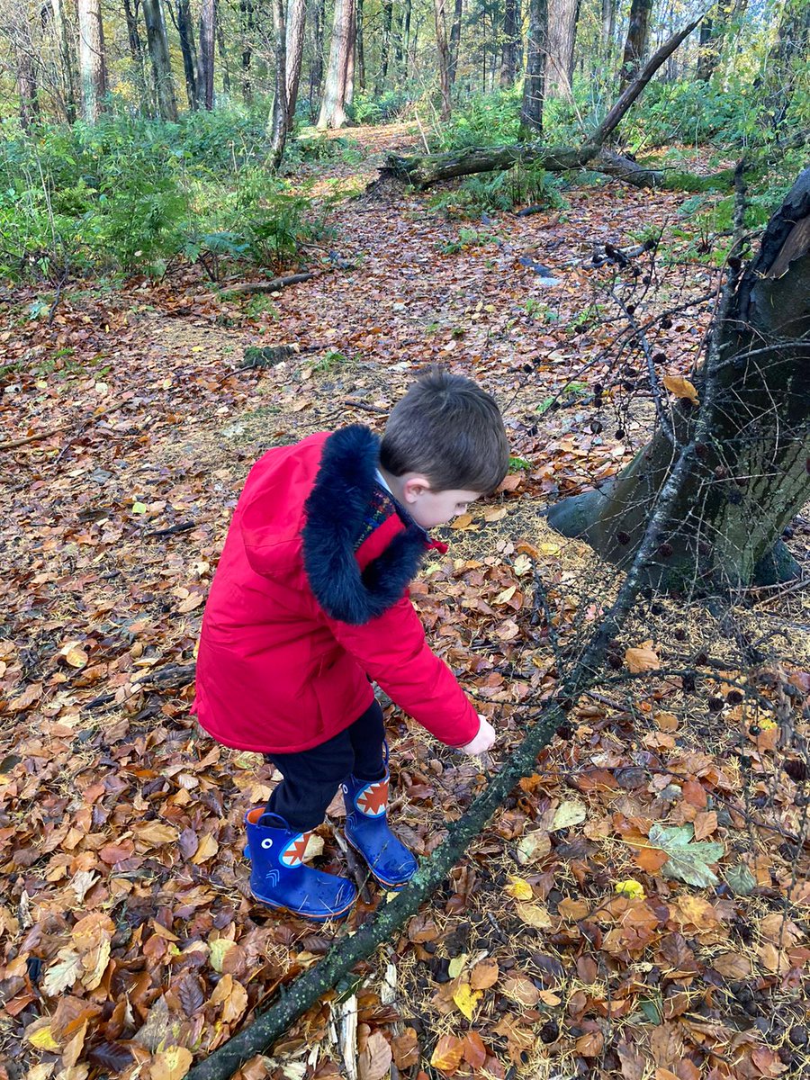 EPClass1's tweet photo. Woods fun. https://t.co/mHIUudr0Eb