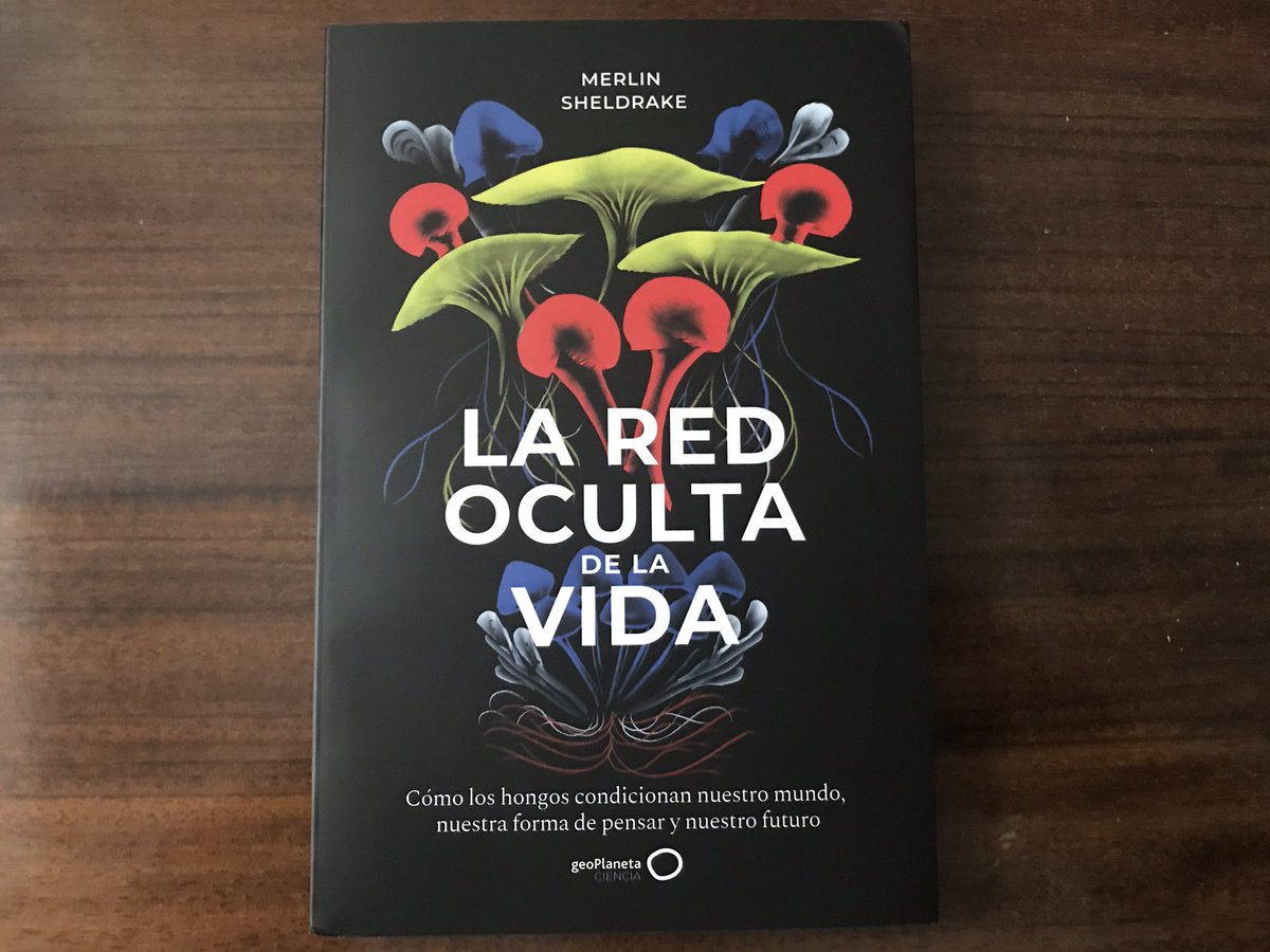 El reino de los hongos es un gran desconocido para la mayoría de la gente. <a href="/geoplaneta/">geoplaneta</a> ha tenido la magnífica idea de traducir "La red oculta de la vida" del micólogo Merlin Sheldrake, uno de los mejores títulos de los últimos años sobre estos seres fascinantes.