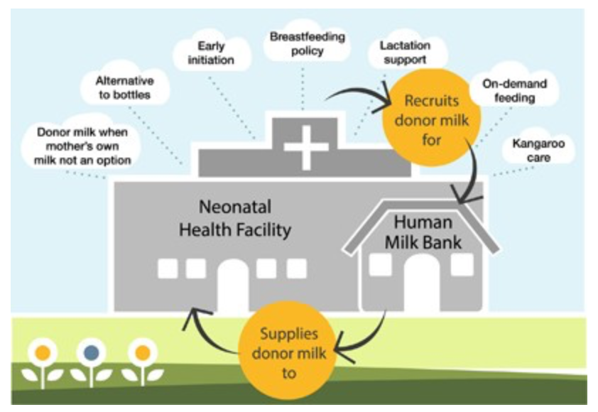 PATH has championed an integrated human milk banking approach  https://www.nature.com/articles/jp2016198  #bfmed20