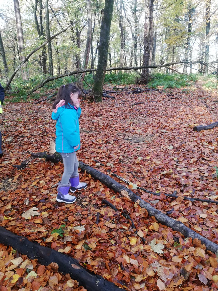 EPClass1's tweet photo. Woods fun. https://t.co/jsQXIbF0Xm