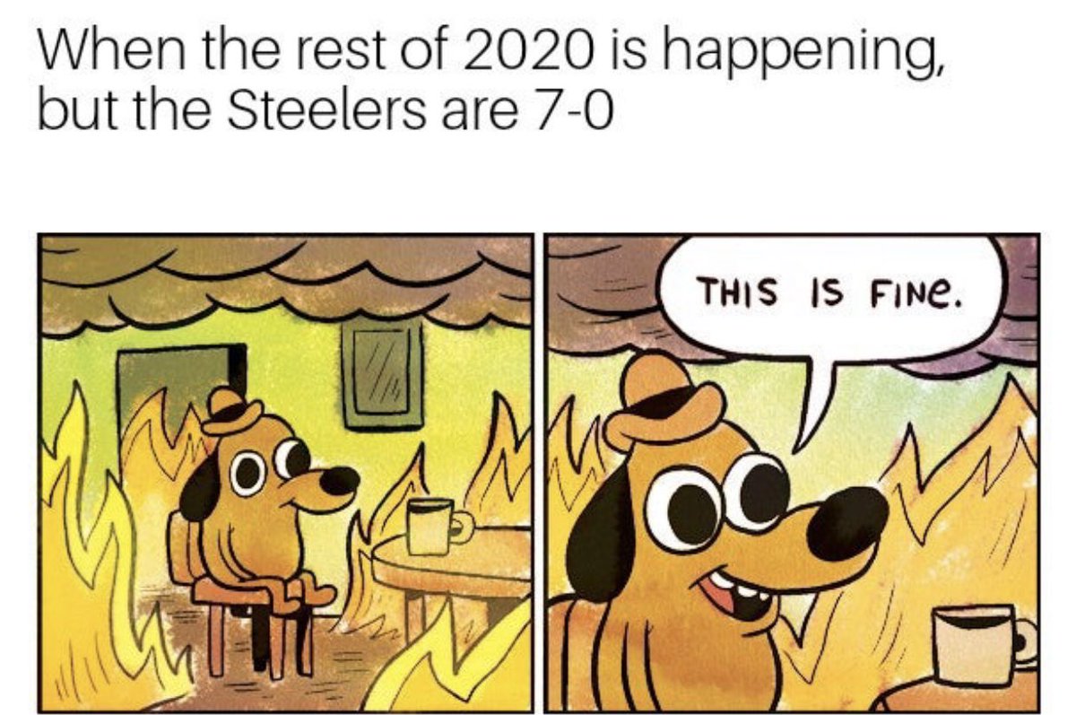 Accurate! #2020 #Steelers