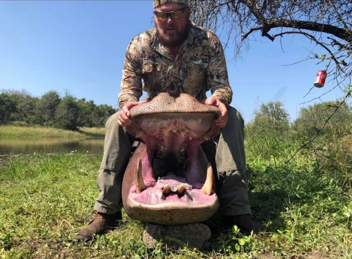 ‘Tough guy’ Randall Johnston made multiple trips to Africa in pursuit of the Dangerous 7. He calls himself a 'conservationist' but he’s just a cold blooded killer boasting about his conquests.😒 🙏🏼RT #BanTrophyHunting @zbleumoon @ABFalecbaldwin @AgainstHunting @CatTassinari