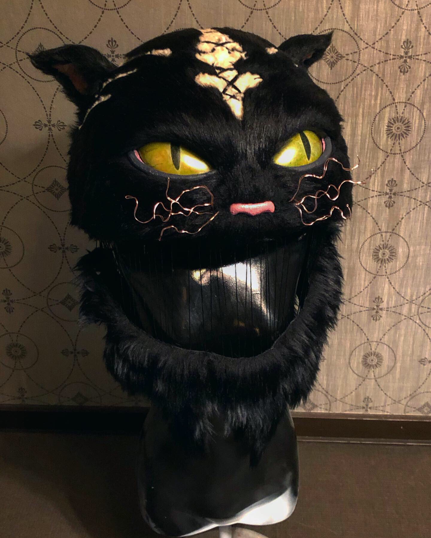 快歩 𓆏 Kaiho きゃりーぱみゅぱみゅさん配信ライブ The Family 10 31 猫子供 猫特殊メイクと猫の被り物作りました きゃりーさんの踊ってる姿癒された Thefamily1031 快歩 𓆏 Kaiho きゃりーぱみゅぱみゅさん配信ライブ The Family 10 31 猫子供 猫特殊メイクと猫の被り物作りました きゃりーさんの踊ってる姿癒された Thefamily1031