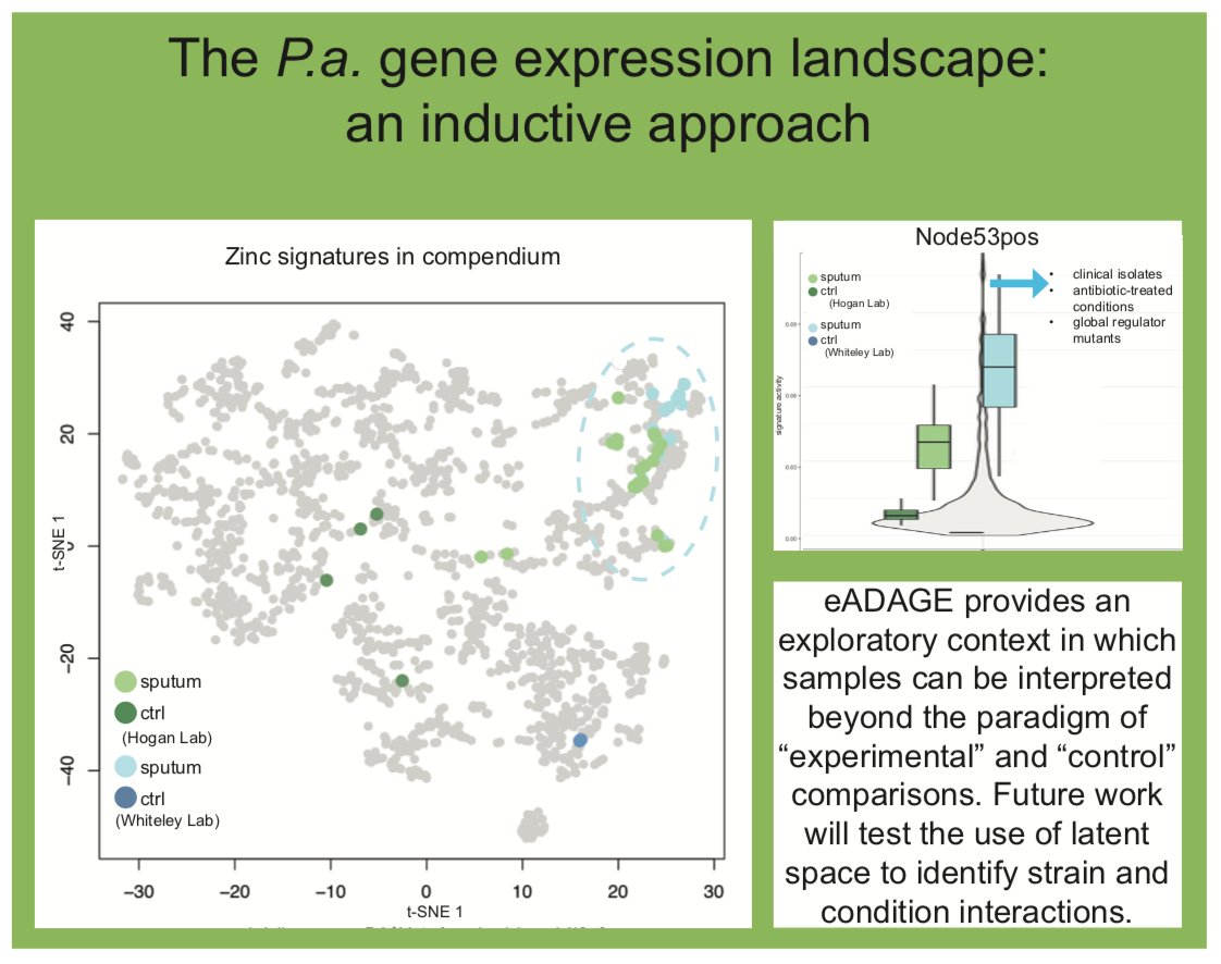 Georgia Doing tweet media