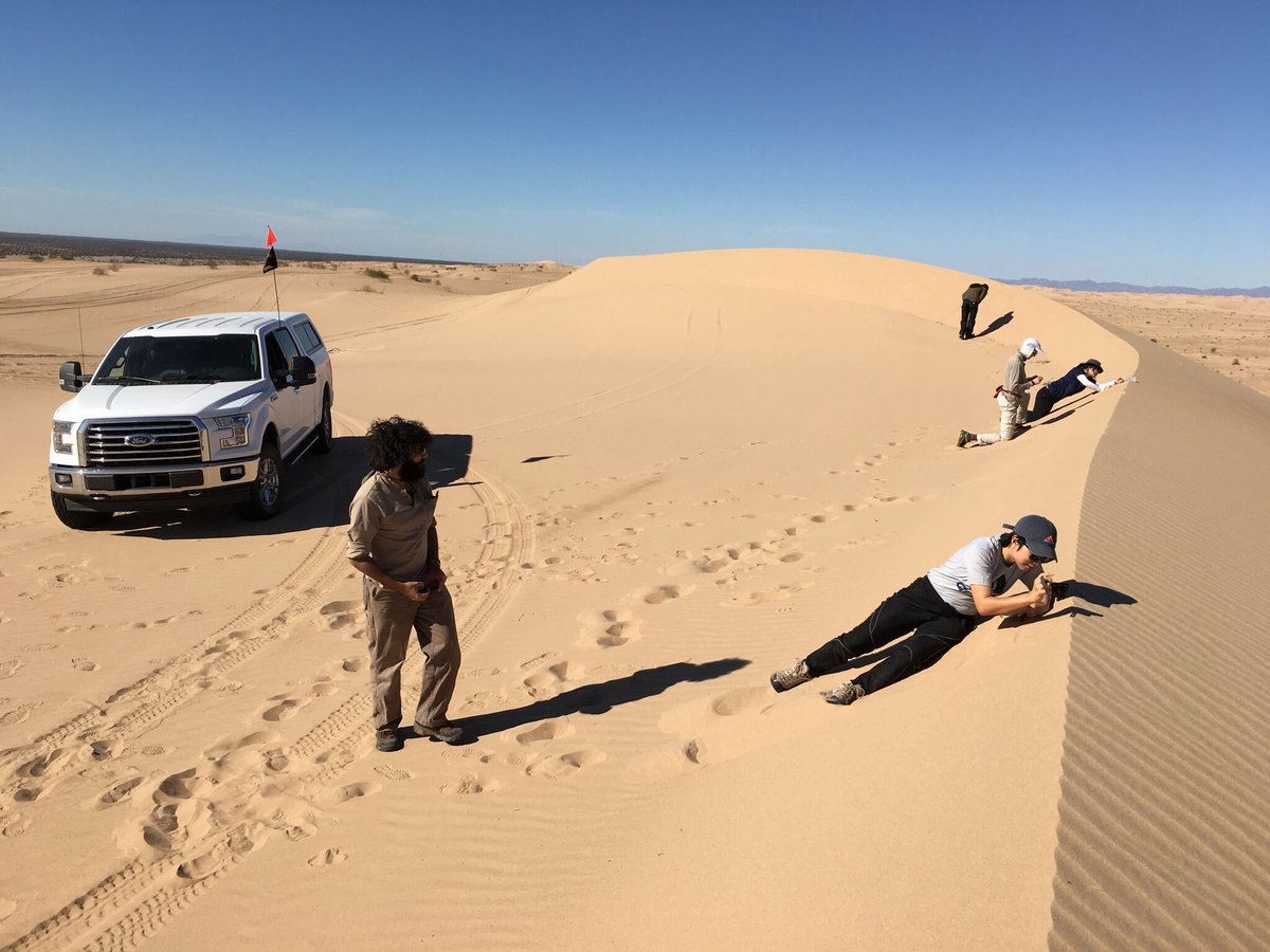 We're searching for a new director — If you're passionate about advancing geospatial knowledge, value new ideas and are committed to leading a strong &amp; dynamic group of faculty, staff &amp; students. We want to hear from you. Join our dream team🌎#SGSUPFamily imsearch.com/search-detail/…