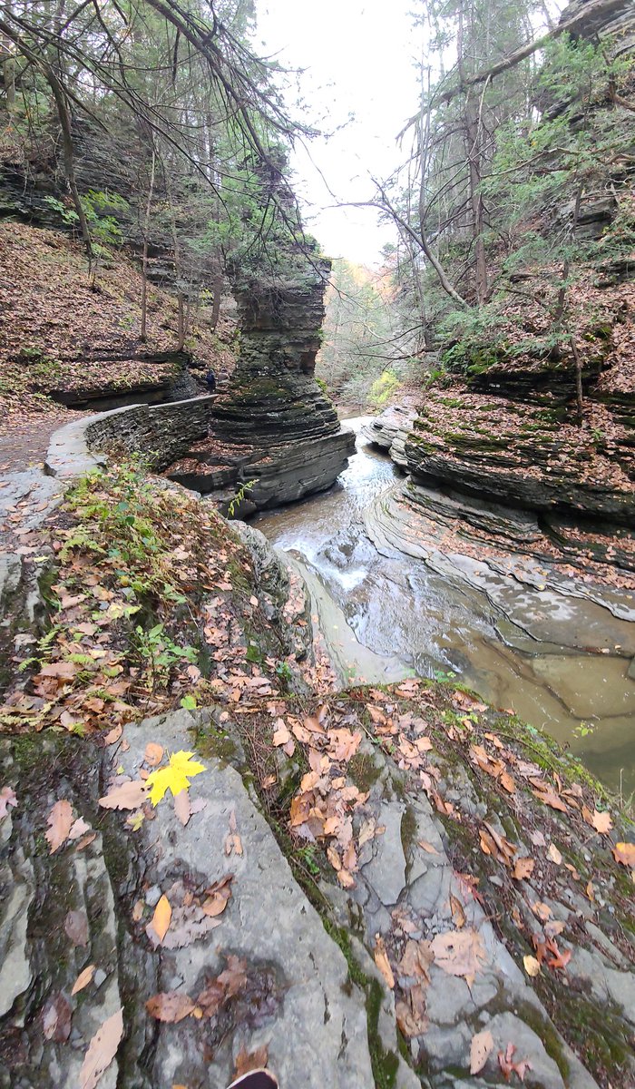 Lilian Pani tweet media