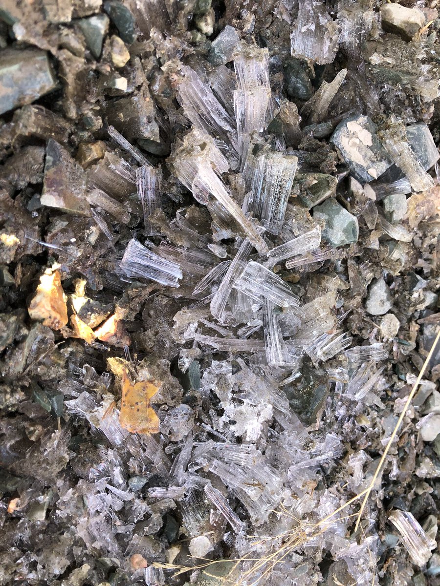 MsKennedyGrade5's tweet photo. “What is frost?”, “How does it form?” We even collected ice outside to use in our experiment! 🧊 @UGEABC @NLESDCA #studentleadlearning #wonders #learningblock #takelearningoutside https://t.co/kqznhXrMxN