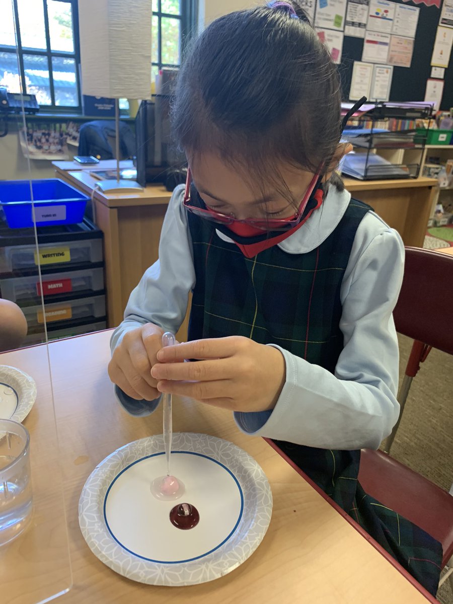 Lauren Kane tweet media