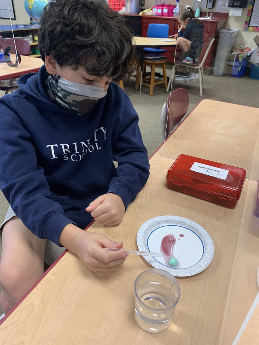 Lauren Kane tweet media