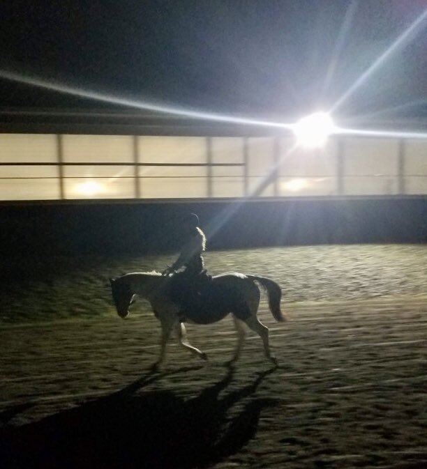 SndPprSnFlower's tweet photo. Nothing better than this #equestrian #justride #nobetterview #horsegirl #love #nightviews #nightride https://t.co/odWVodled4