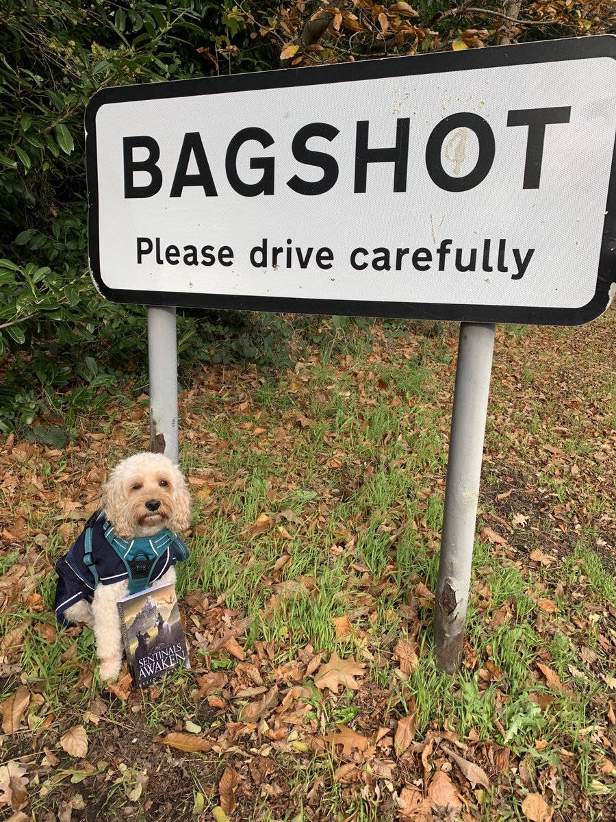Sentinals Awaken accompanied Dougal on his walk in Bagshot, Surrey today ⁦<a href="/HelenGarraway/">Helen Garraway | Sentinals Origins Live!</a>⁩ #sentinalsightings