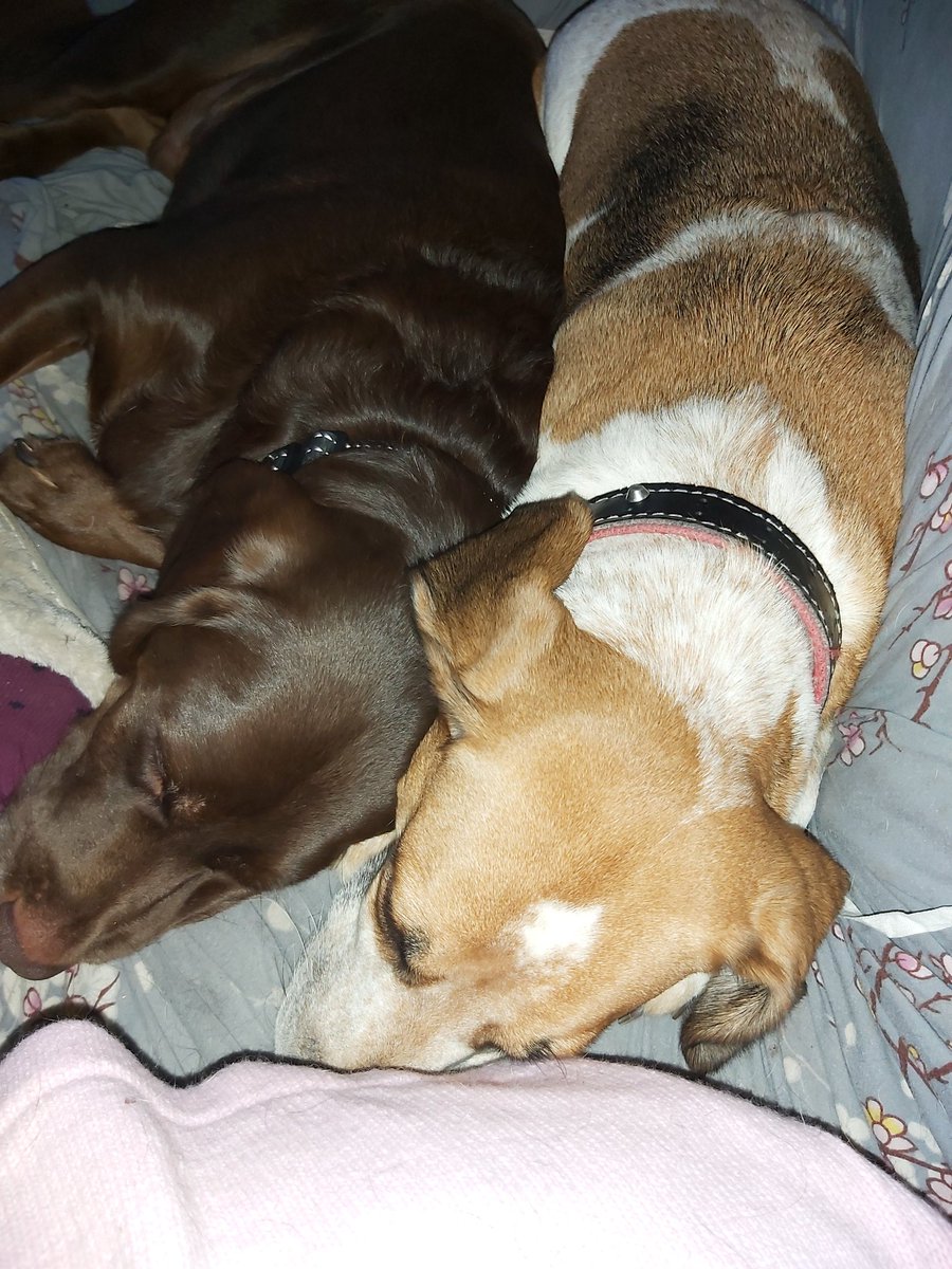 Torranbrown's tweet image. Happy Thursday stay safe