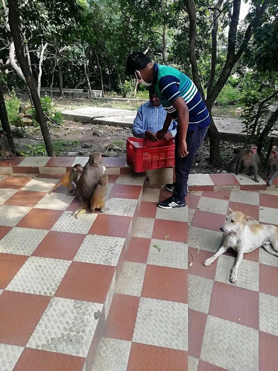 ArtofAid2's tweet photo. Another good go by Team Art of Aid - AoA Sikharchandi - 2 at Bhubaneswar, odisha. https://t.co/Kk0aGloC3n