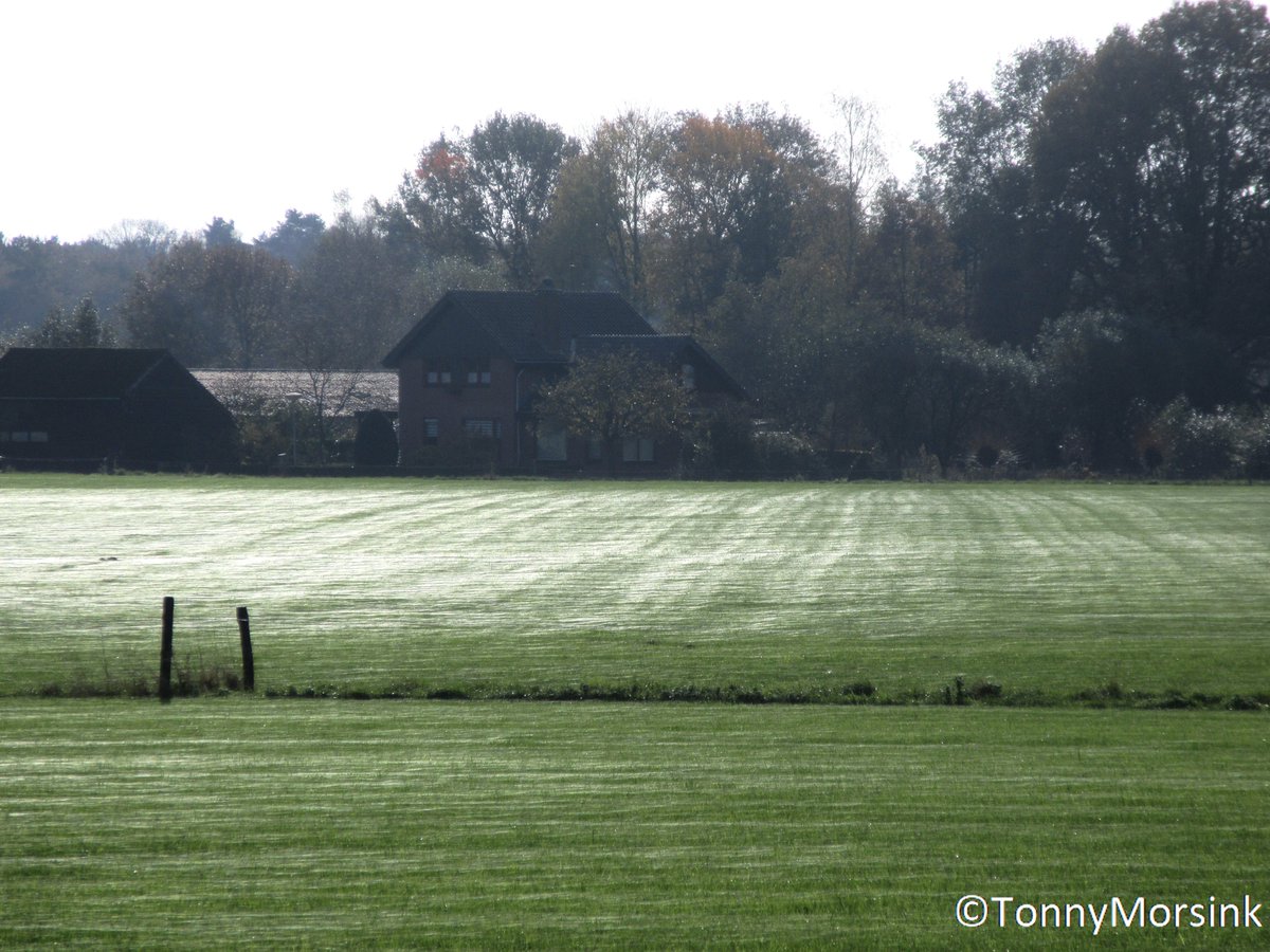 tonnymorsink's tweet photo. Vanmorgen bij bijna windstil weer en lekkere zonnige condities!! Veel #spinrag zichtbaar o.a weide en takdraad!! Tis een detail maar prachtig om waar te nemen!! @DeLutte @RTVoost @MeteoGroupWeer @janvissersweer @weeronline @BuienRadarNL @Weerplaza @WilliamHuizinga @talpaweer https://t.co/cPD2YAFg5o