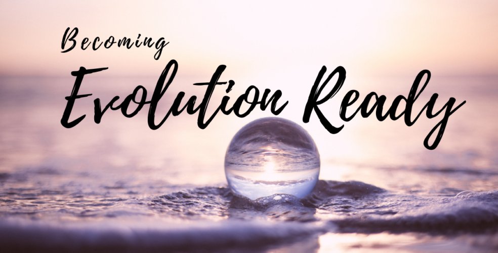 Provchamber's tweet photo. .@AWEConnects REACH Small Business Series is a program designed for small business owners to get “evolution ready."  The series is FREE to 30 business and is being offered in partnership with CCRI.

Businesses must apply by 12/10.

Learn more: https://t.co/wd0g5LPH78 https://t.co/WsHPcFVl3K