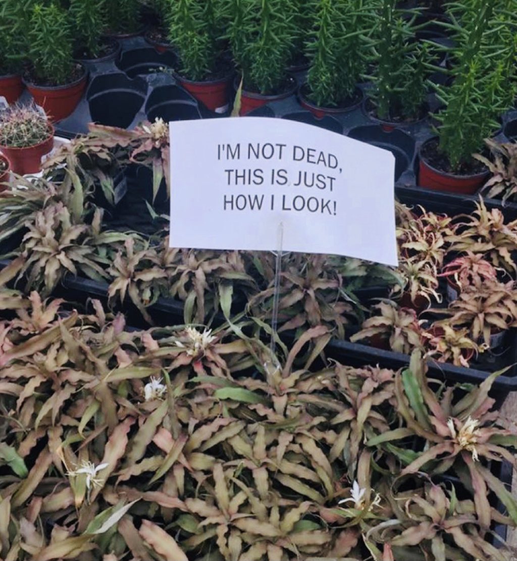 Me with no makeup on