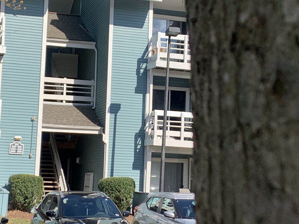 #13NewsNow #VirginiaBeach Fire Department says one person is dead, after an early morning fire, along Runaway Bay Drive.