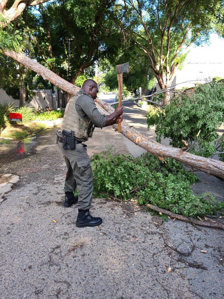 CortacSecurity's tweet photo. On the morning of Thursday 5 November, a fallen tree was blocking 17th Street in #Parkhurst. Thank you to the CORTAC Tactical Units who removed the tree and cleared the road. #cortac @safeparksec https://t.co/FvpFMyRf48