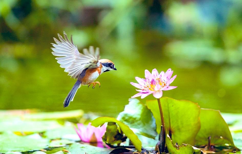 icday2020's tweet photo. You do have a gift endowed by Heaven; it is with you at the origin and end of life.
 
                           - Dr. Hong, Tao-Tze

#ChangeTheWorldWithConscience
#PositiveVibes https://t.co/0xGFvSgRpO