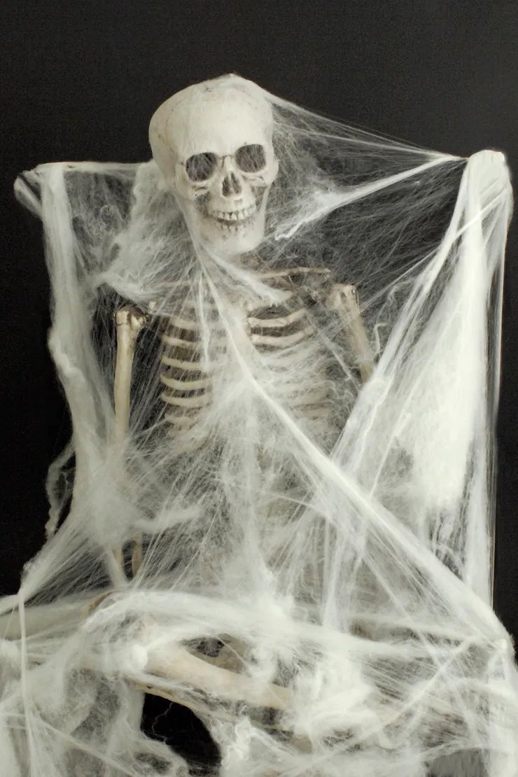 _SilverBird__'s tweet photo. Joe Biden quand il sera officiellement élu président des États Unis ...
 #ElectionResults2020 https://t.co/Lw3WrNfICf