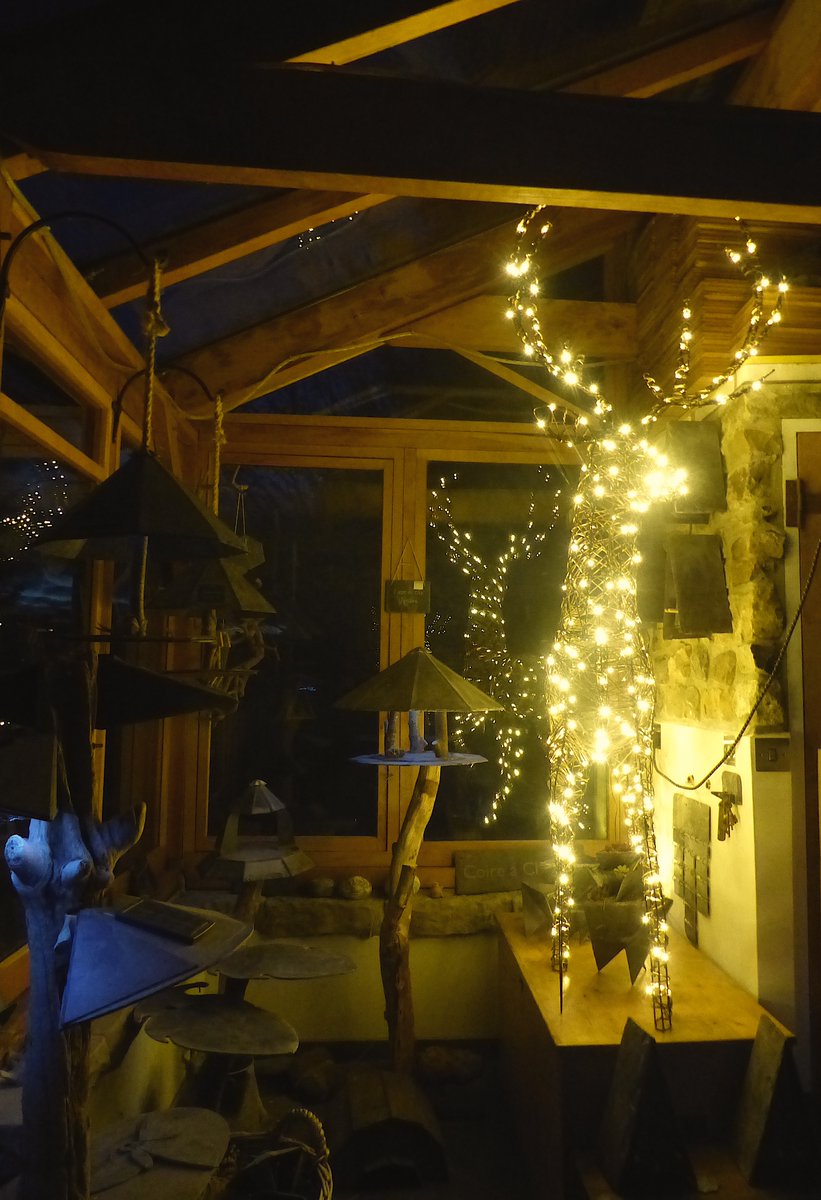 Slate and Nature tweet media