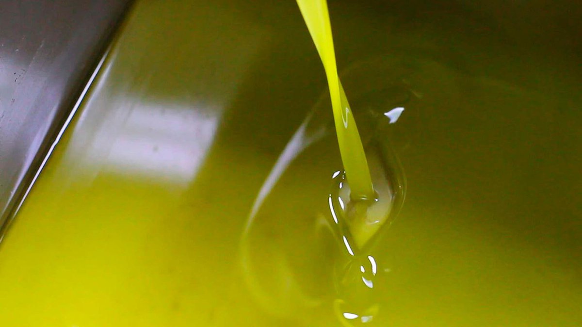 PiacereGusto's tweet photo. LA MOLITURA DELLE OLIVE IN CASA BIORUSSI A CARPINO
Un rito che si ripete ogni anno in ogni azienda - piccola e grande - della #Puglia. Know how che nessuna tecnologia potrà superare.
https://t.co/8s68pfFixG
#olio #olioevo #oliobio #extravergine #oloiva #cultivar https://t.co/XtlzkEvJwn