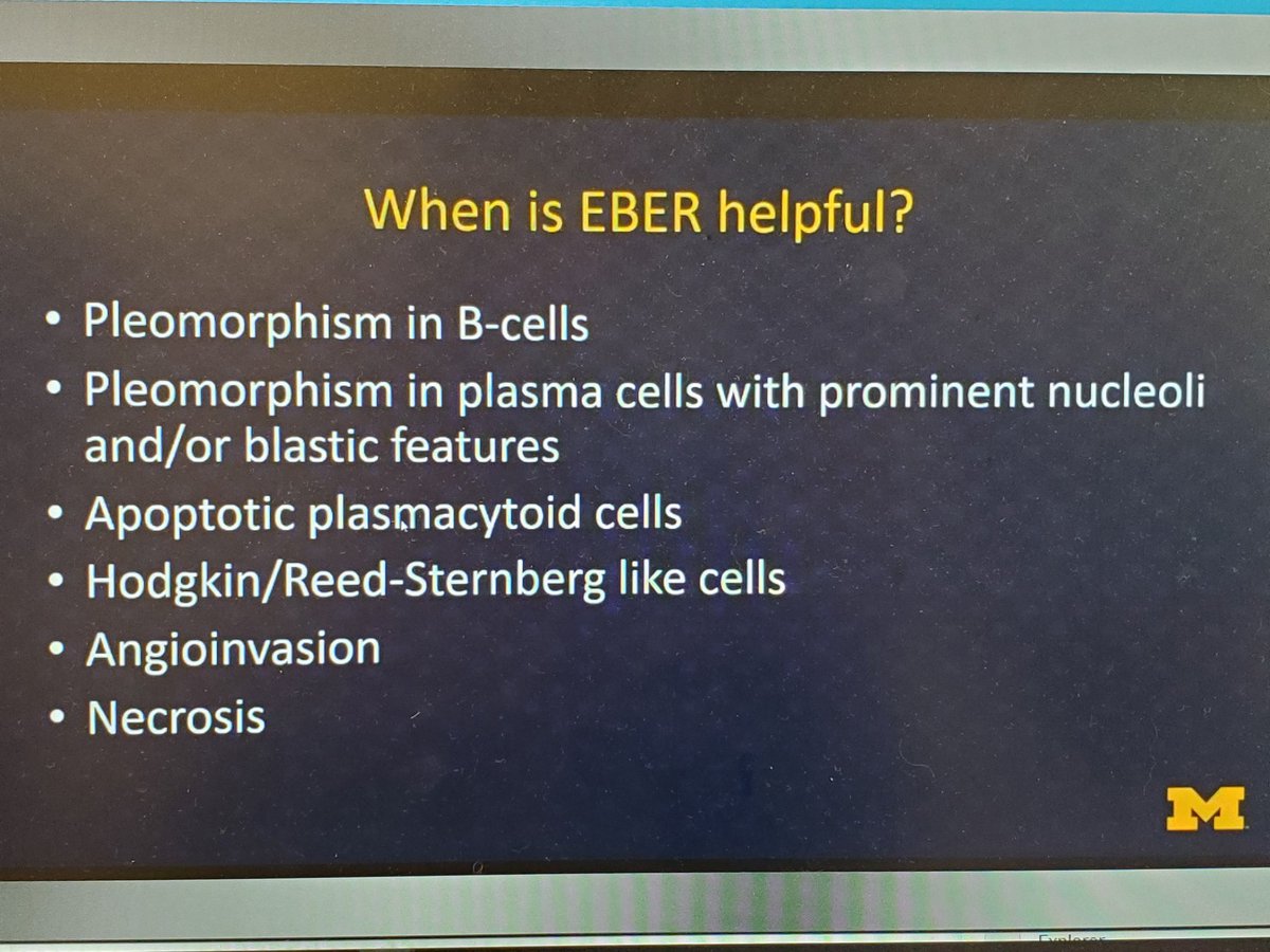DrSarahDerm's tweet image. Dr. Hristov: when EBER is helpful in lymphoma cases. #lymphoma #asdp #asdp20 #asdp2020 #dermpath