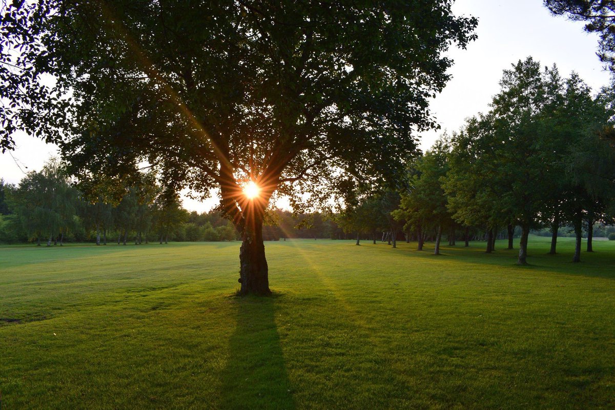 ScarthingwellGC tweet media