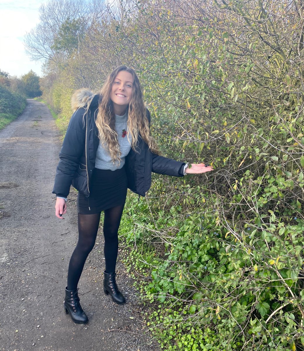 This month join us in our #TransportTeamLockdownLift, today is #TreasureHuntThursday. 

Here is what I found on my lunch time walk - flowers, Mini, and berries. 

Did you spot anything on your walk today? 
<a href="/UniKent/">University of Kent</a> <a href="/UniKentStaff/">UniKent Staff</a> <a href="/UniKentEstates/">Estates Department</a> <a href="/KentUnion/">Kent Union</a> <a href="/UniKentSustain/">UniKentSustain</a>