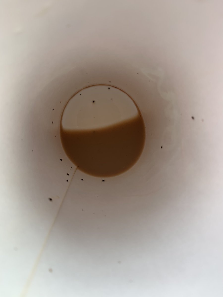 bobbijoscace's tweet photo. @TimHortons I was the first one in your drive thru this morning...how did I get the grounds? 🤔 this picture doesn’t even show how many there were https://t.co/13ebQ5H4Qk