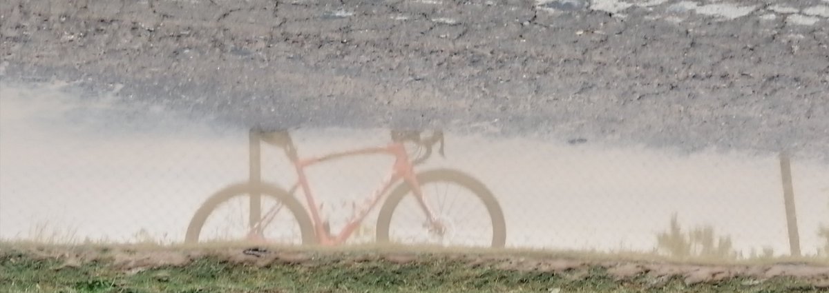 EPodrick's tweet photo. Hoy remojon con la belga y barro muchoooo barro
#somosBelgas
#noCx
@Ridley_Bikes https://t.co/ylR6yciTD0