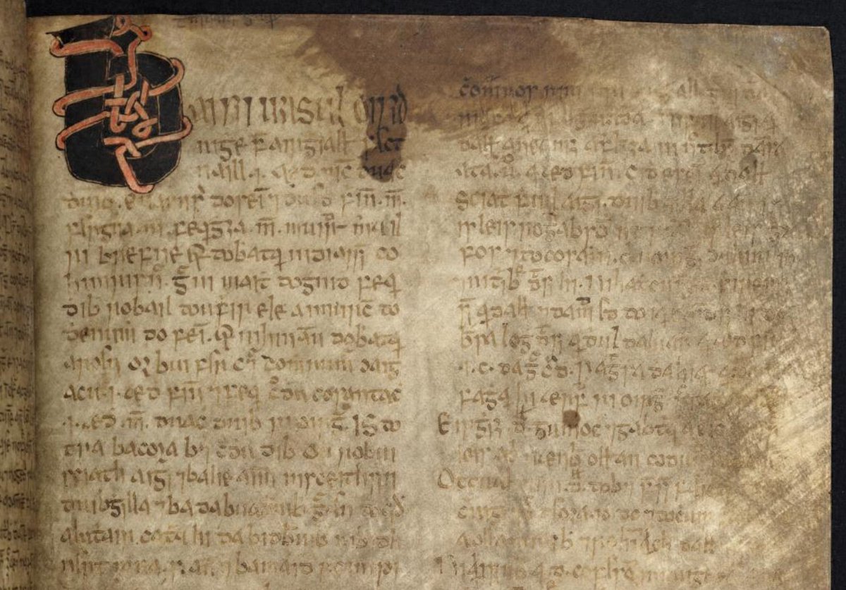 Were it not for ISOS, I would not have been able to become acquainted with the oldest surviving copy of the Early Modern Irish satirical tale Tromdhámh Ghúaire ‘The Grievous Host of Gúaire’ during my PhD. (Image here from ISOS: Book of Lismore, f. 186r)