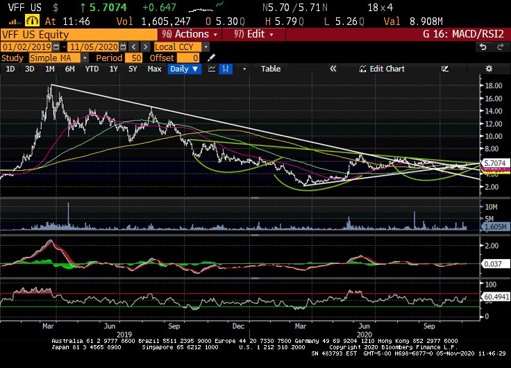 todd_harrison's tweet photo. It takes a Village 🍅
Hard to see on this chart but $VFF is about to bust thru major resistance. Recall that someone sold a boatload of Nov 6 calls to open, as well. #negativegamma
/position $VFF 🍅 https://t.co/cRlAc4IRfj