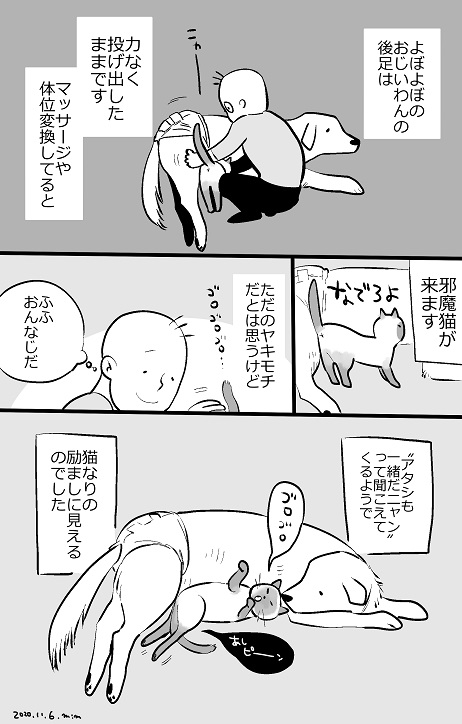 おじいわんとおばあにゃんの話 