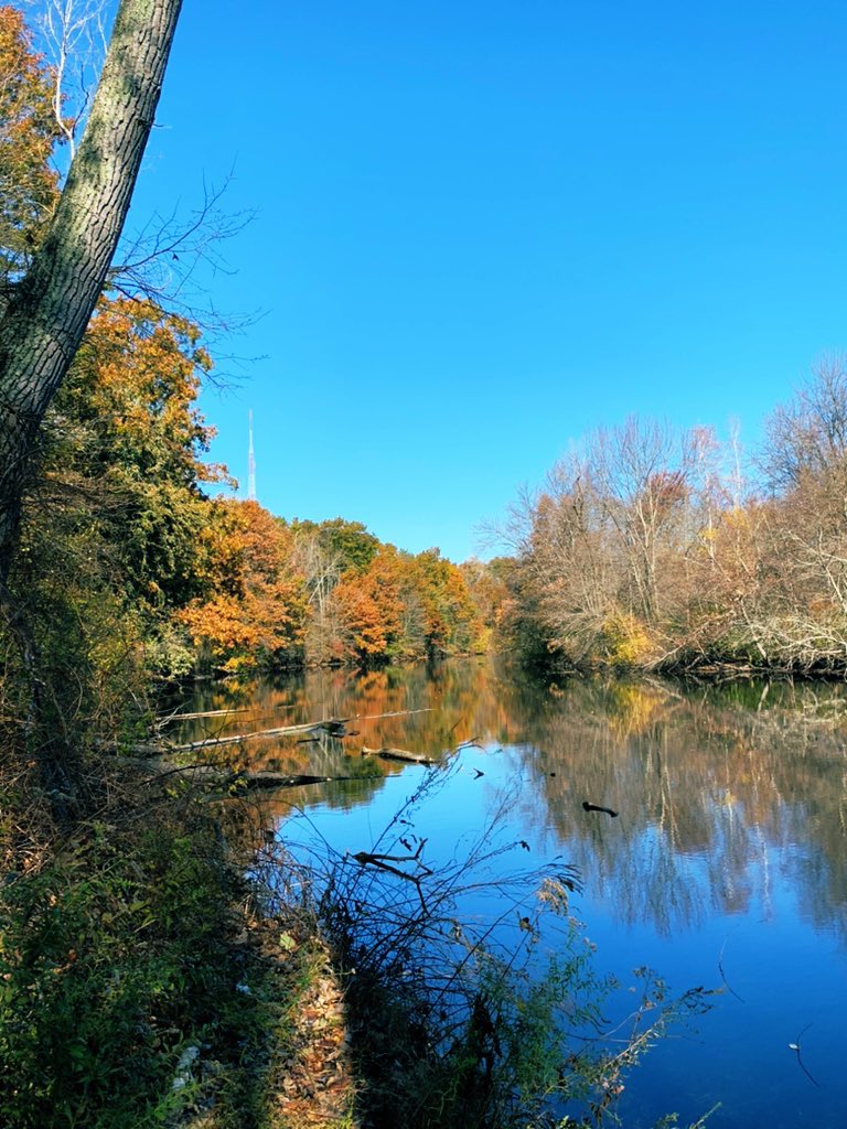shirlbern's tweet photo. Still beautiful here. Still running. Still waiting. #BostonRunning #KeepCounting #CountEveryVote #GoJoe https://t.co/Q5TBzs4TPY