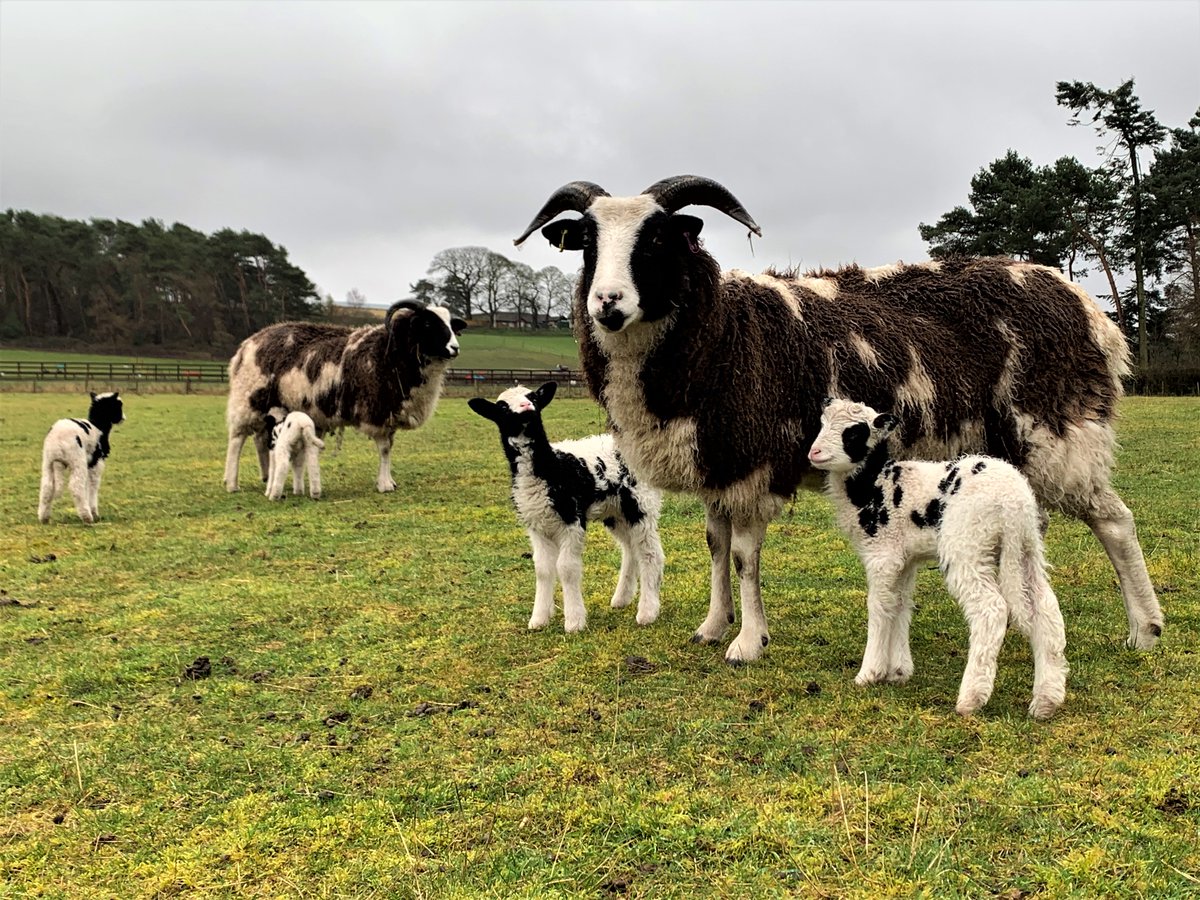 Herefordshire and Worcestershire Health & Care NHS tweet media