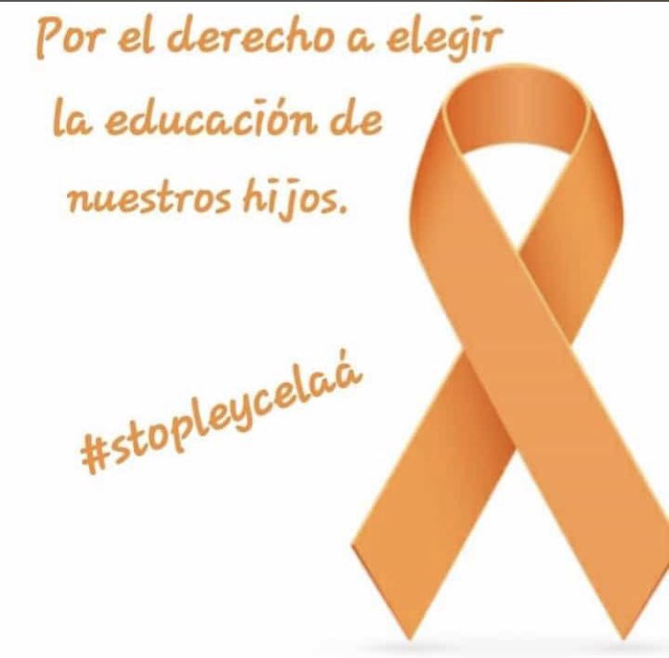 7_CharoCano's tweet photo. #MasPlurales #StopLeyCelaa https://t.co/7OKMJikpND