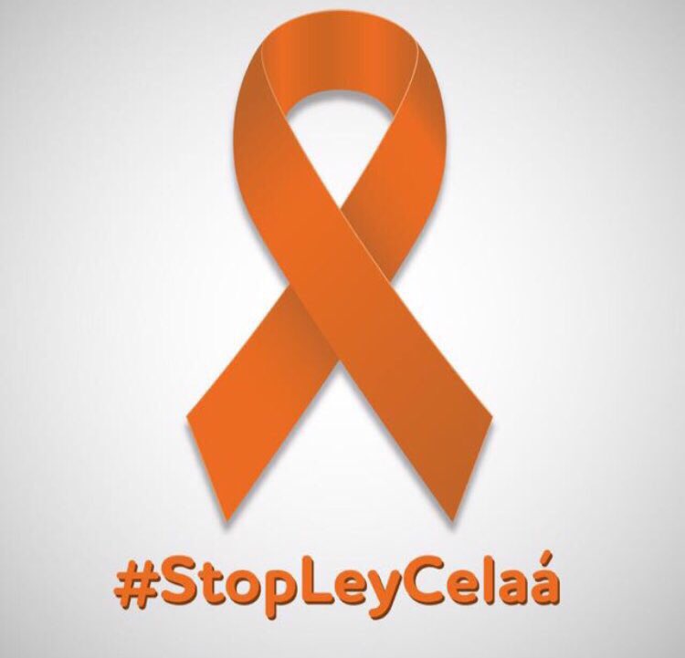 lydiadiazgarcia's tweet photo. Si no has firmado aún hazlo aquí https://t.co/RKranuUWeI
La #LOMLOE pone en serio riesgo la pluralidad del sistema educativo y por tanto la existencia de centros de redes complementarias como la #Concertada ¡NO lo permitas!  #StopLeyCelaá #MasPlurales https://t.co/GiNLyXWOdt